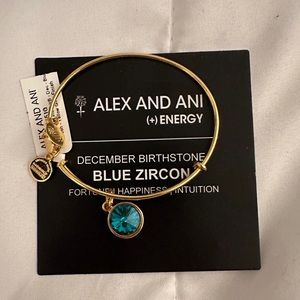 Alex and Ani December stone bracelet